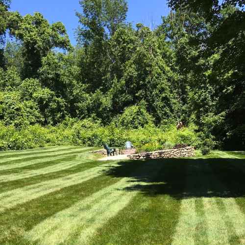 Landscape Tips for Every Homeowner
